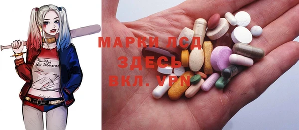 apvp Вяземский