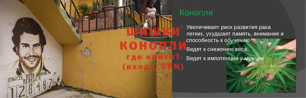 apvp Вяземский