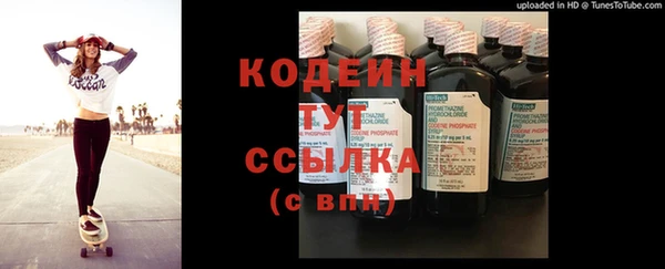 apvp Вяземский